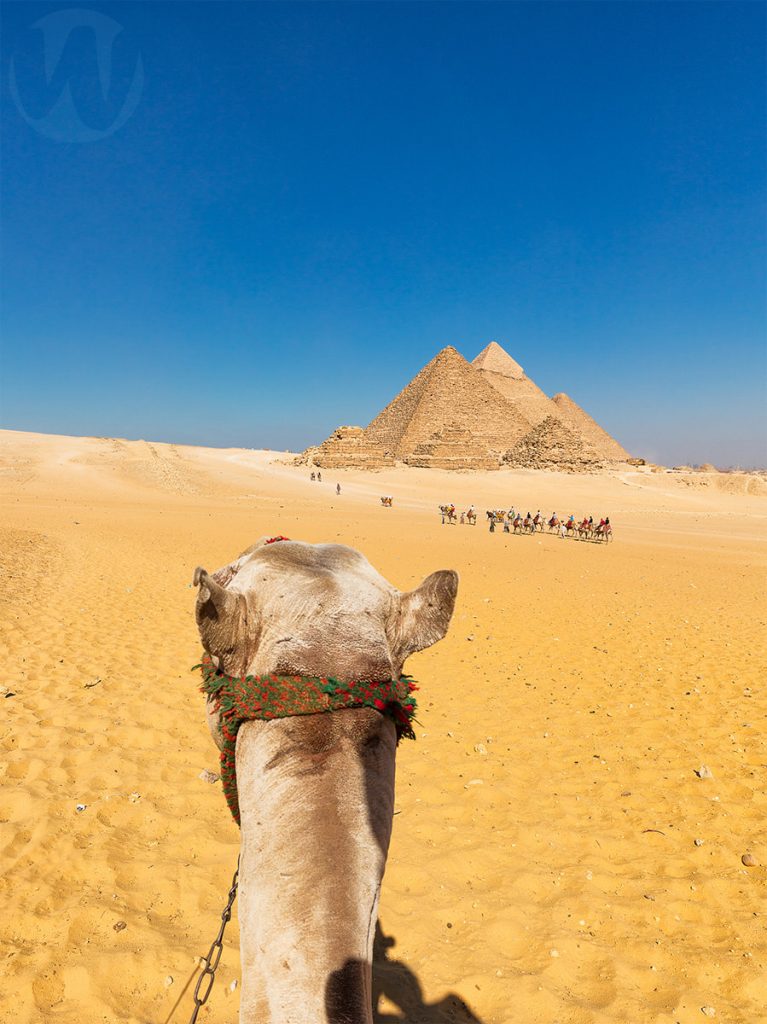 Pyramids with a camel head