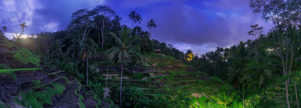 Tegalalang Rice Field at Moonrise